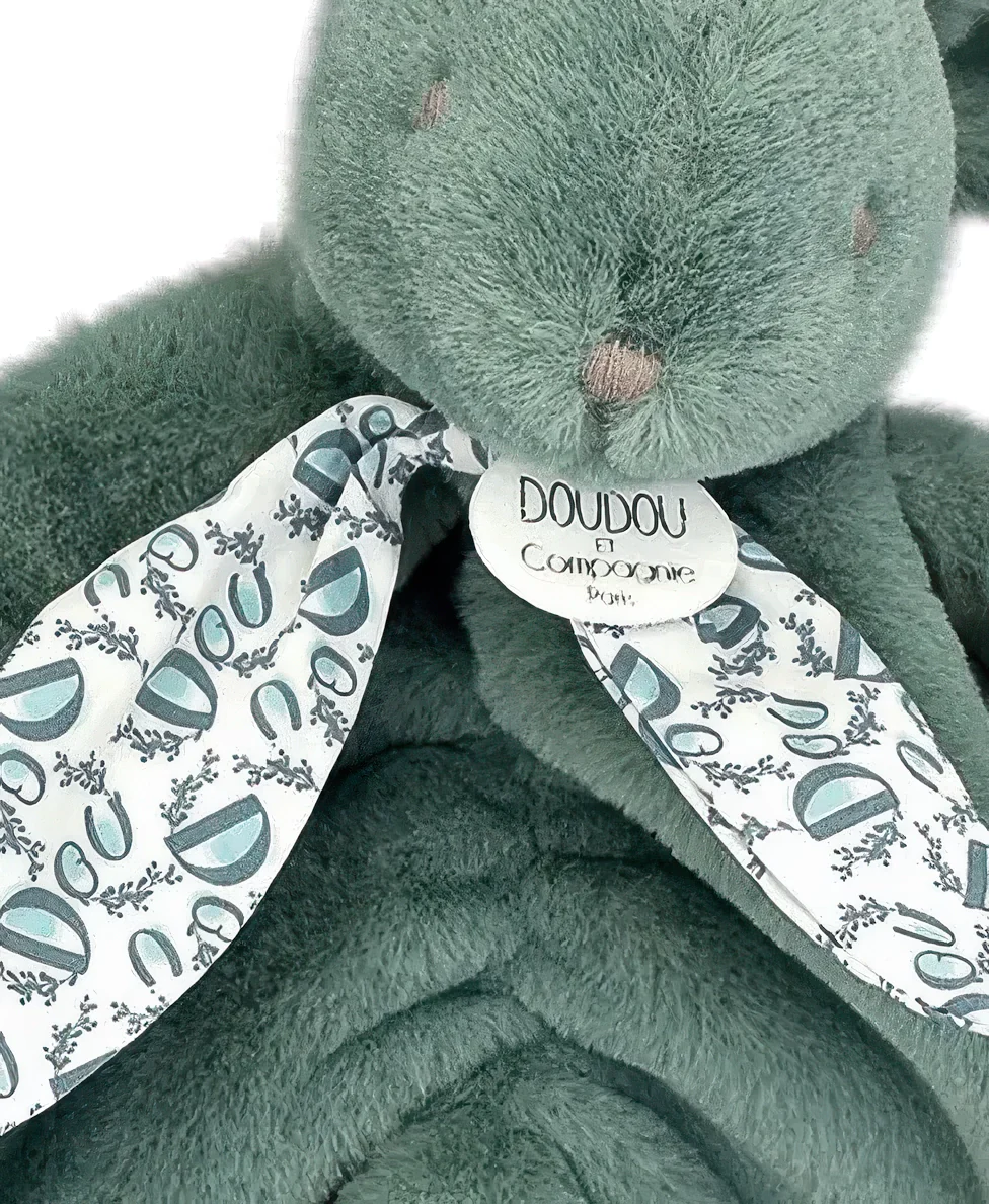 DOUDOU Rabbit Green Rabbit Comforter 29cm - Image 4