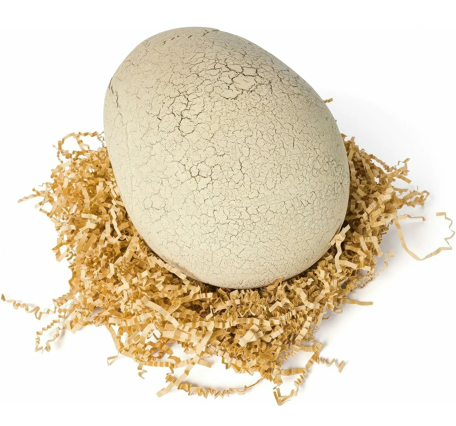 Jurassic World Interactive Toy Dinosaur & Egg - Image 10